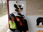 Fotoblog wildprincess