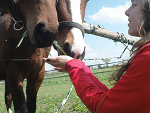 Fotoblog xantihippe
