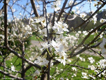 Fotoblog xbestxphotosxx