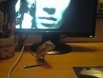 Fotoblog kejt88