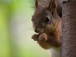 Fotoblog szarypilot12