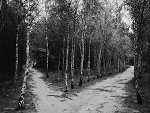 Fotoblog znowkochackwiaty
