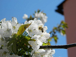 Fotoblog adusiekk00