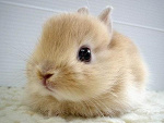 Fotoblog gumis1