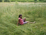 Fotoblog trelemorele4271
