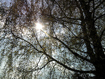 Fotoblog kanibal93
