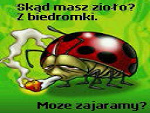 Fotoblog misiek19934
