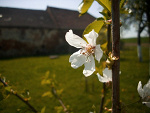 Fotoblog zzouzaa