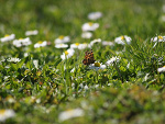 Fotoblog dobojuchlopczyku