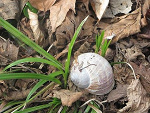 Fotoblog beata127