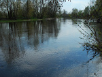 Fotoblog zcukrem