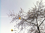 Fotoblog iloovedreaming