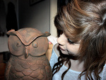 Fotoblog pokemonlol