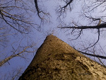 Fotoblog kobrakid