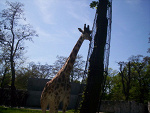 Fotoblog gacia98