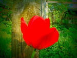 Fotoblog vimila