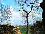 Fotoblog anetka1602