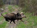 Fotoblog beneo