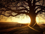 Fotoblog bysia002