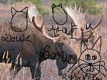 Fotoblog hoffix3