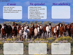 Fotoblog gwiezdnyogier