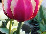 Fotoblog karolna1