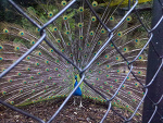 Fotoblog naathaliee