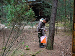 Fotoblog 15tdh