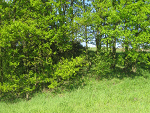 Fotoblog piaskowypotwor
