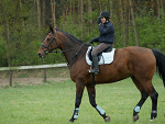 Fotoblog julkaa0