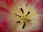 Fotoblog wenka224