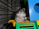 Fotoblog chocolover22