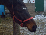 Fotoblog reggaephoto