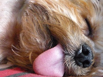 Fotoblog malwaaaa1