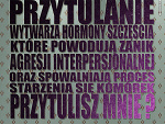 Fotoblog wichajsster