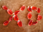 Fotoblog haniax333