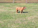 Fotoblog wiooraa