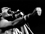 Fotoblog dodzilla