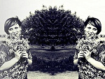 Fotoblog redelova