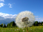 Fotoblog hearme