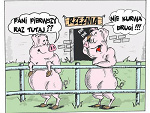 Fotoblog kochamycieswinio
