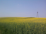 Fotoblog sparalizowanaemocjami