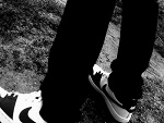 Fotoblog stokrotka19995