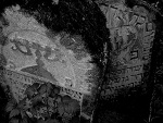 Fotoblog dzolka817