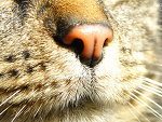 Fotoblog jamiiii