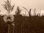 Fotoblog katherine145