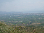 Fotoblog agfrog