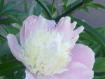 Fotoblog auri6565