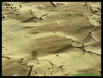Fotoblog fotografprzyrody