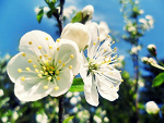 Fotoblog 1023